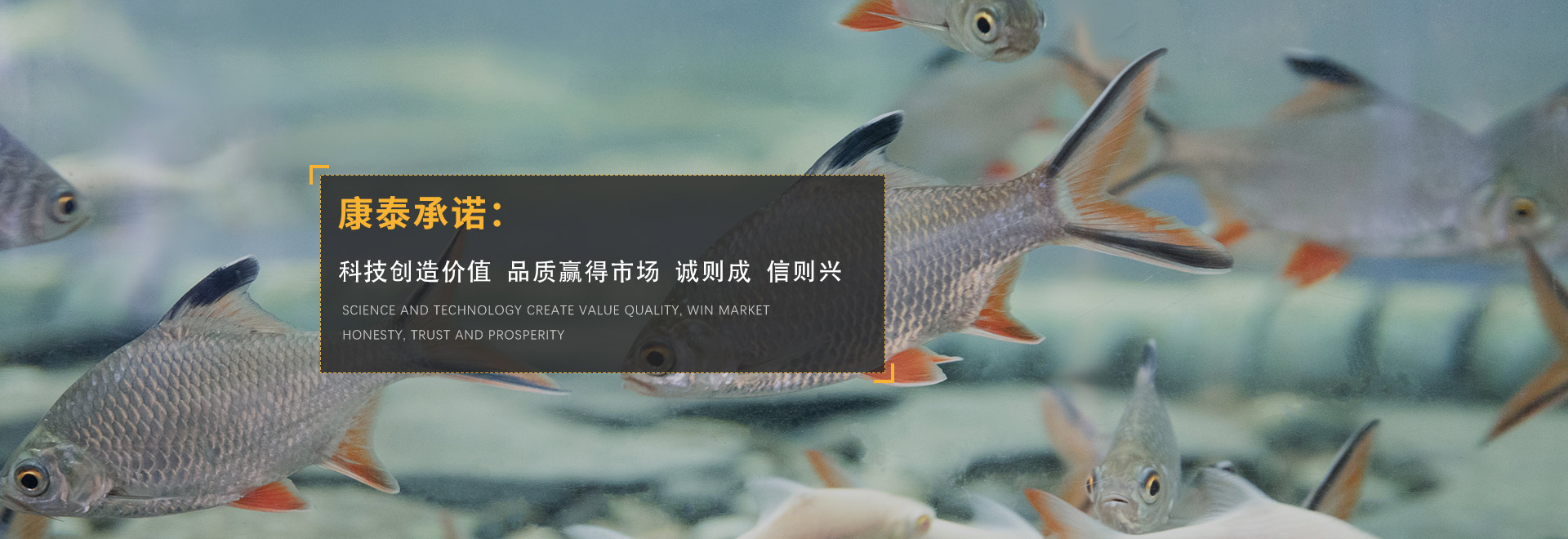 關于我們